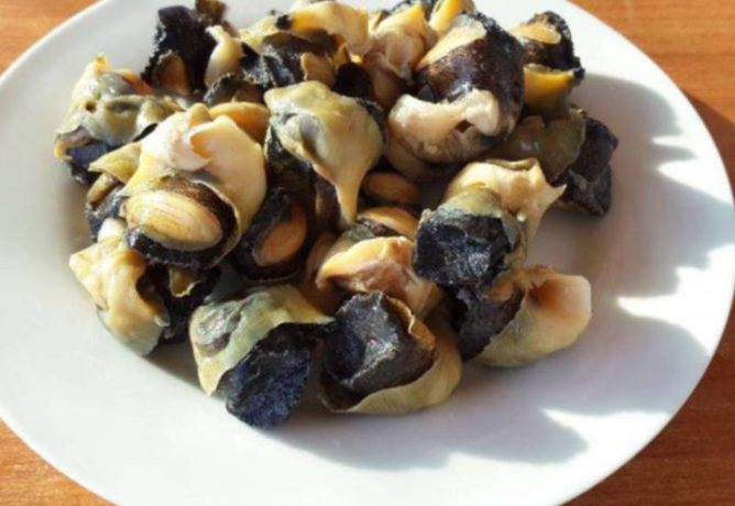 Мясо Рапаны (Приваренное) (кг)