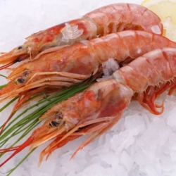 Лангустины с/м с/г (Аргентина) 