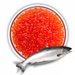 Икра Кижуча (500г)