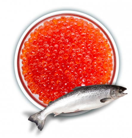 Икра Кижуча (250г)