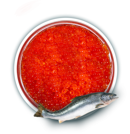 Икра Горбуши (500г)