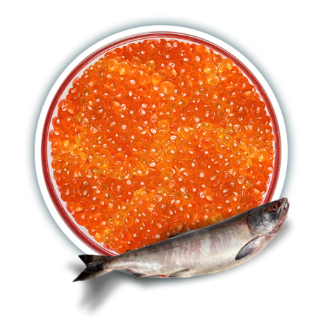 Икра Кета Элит (500г)