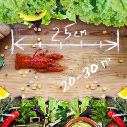 Раки вареные &quot;Мелкий&quot;