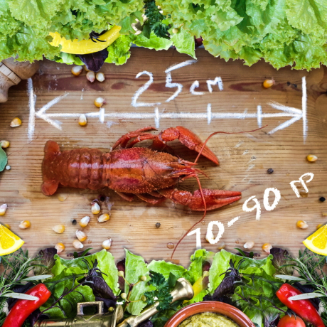 Раки вареные "Средне-крупный"