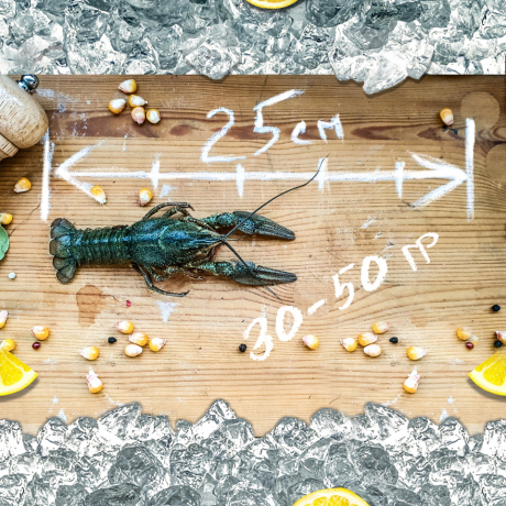 Раки живые "Мелко-средний"