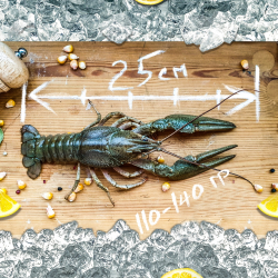 Раки живые &quot;Отборный&quot;